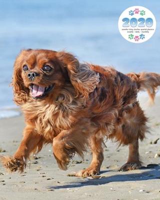 Book cover for 2020 Cavalier King Charles Spaniel Planner - Weekly - Daily - Monthly