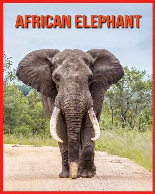 Book cover for African Elephant