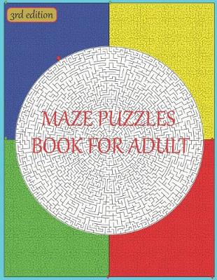 Book cover for Maze puzzles book for adult