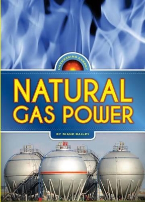 Book cover for Natural Gas Power