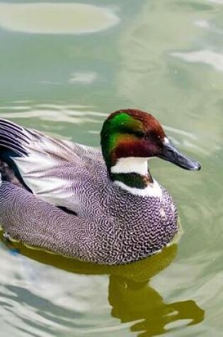 Cover of Falcated Duck Swimming in a Pond Journal