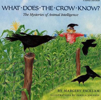 Book cover for What Does the Crow Know