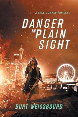 Book cover for Danger in Plain Sight