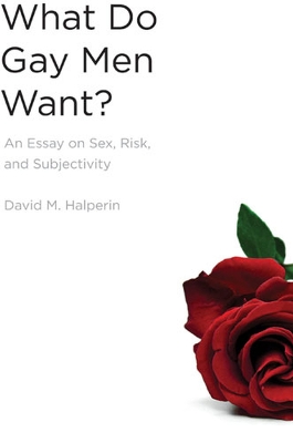 Cover of What Do Gay Men Want?