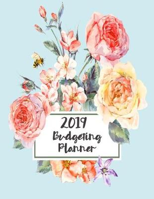 Book cover for 2019 Budgeting Planner