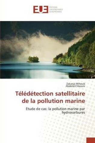 Cover of Teledetection Satellitaire de la Pollution Marine