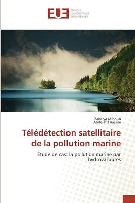 Cover of Teledetection Satellitaire de la Pollution Marine