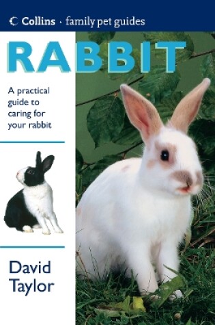 Cover of Rabbit