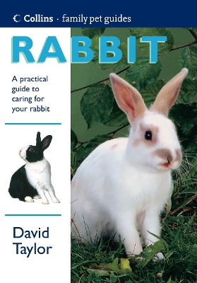 Cover of Rabbit