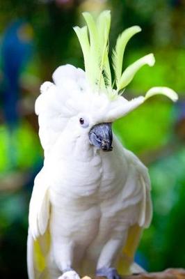 Book cover for Yellow-crested Cockatoo Journal