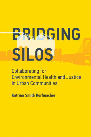 Book cover for Bridging Silos