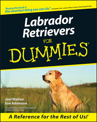 Cover of Labrador Retrievers for Dummies