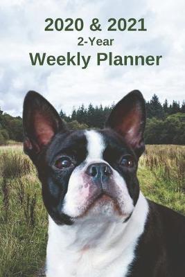 Book cover for 2020 & 2021 Weekly Planner - Two Year Appointment Book Gift - Two-Year Agenda Notebook for Boston Terrier Dog Owners