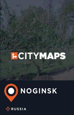 Book cover for City Maps Noginsk Russia