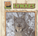 Book cover for Lynxes