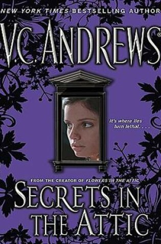 Cover of Secrets in the Attic