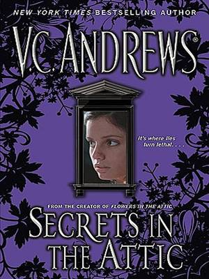 Cover of Secrets in the Attic