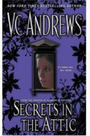 Cover of Secrets In the Attic