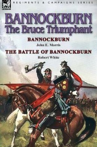 Cover of Bannockburn, 1314