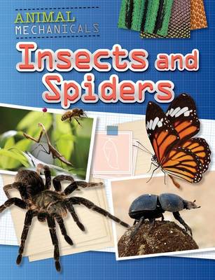 Book cover for Insects and Spiders