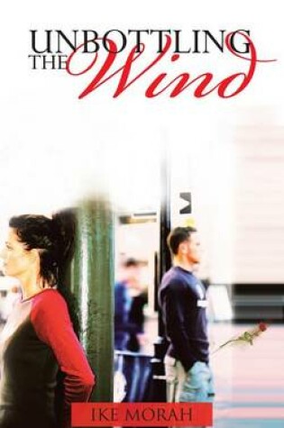 Cover of Unbottling the Wind