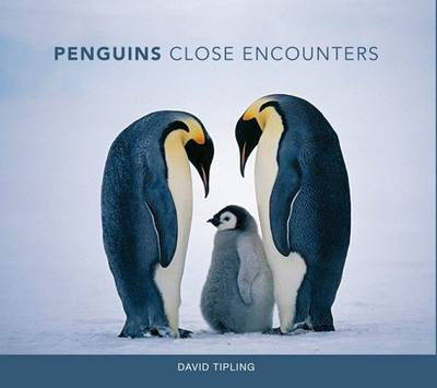 Cover of Penguins: Close Encounters