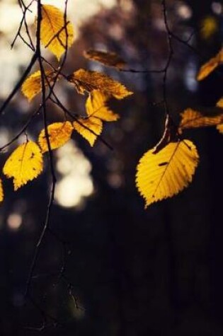 Cover of Golden Fall Leaves