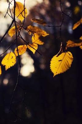 Book cover for Golden Fall Leaves