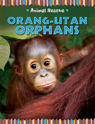 Book cover for Animal Rescue: Orang-utan Orphans