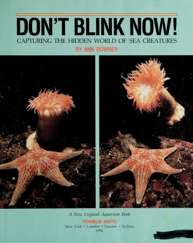 Cover of Don't Blink Now]