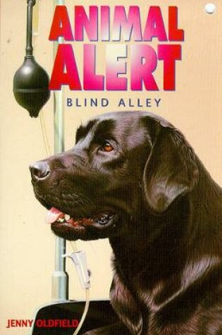 Cover of Blind Alley