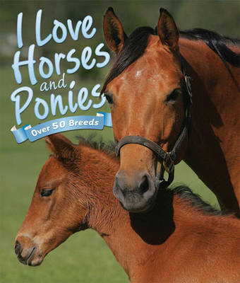 Cover of I Love: Horses and Ponies