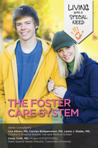 Cover of The Foster Care System