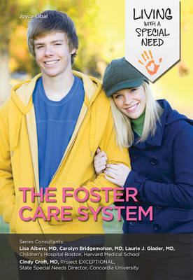 Book cover for The Foster Care System