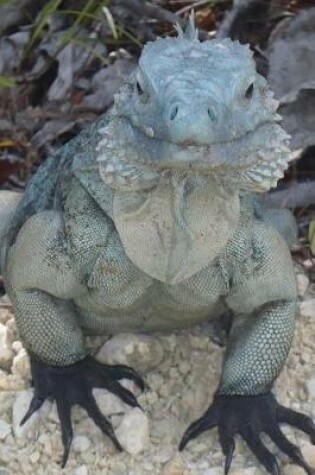 Cover of Grand Cayman Blue Iguana Checking You Out Lizard Journal