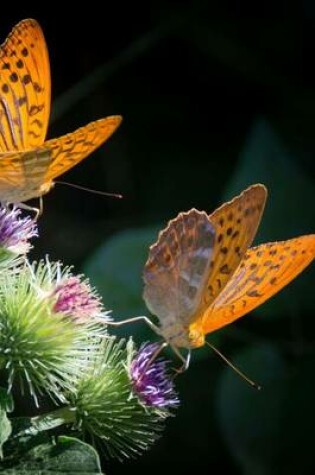 Cover of Silver Bordered Fritillary Butterfly, for the Love of Nature