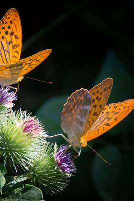 Book cover for Silver Bordered Fritillary Butterfly, for the Love of Nature