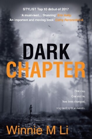 Cover of Dark Chapter