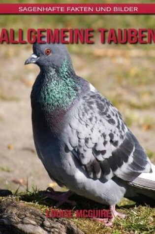 Cover of Allgemeine Tauben
