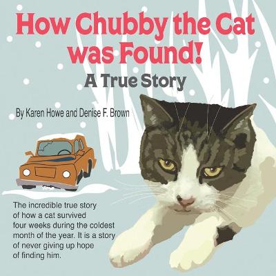 Book cover for How Chubby the Cat was Found!