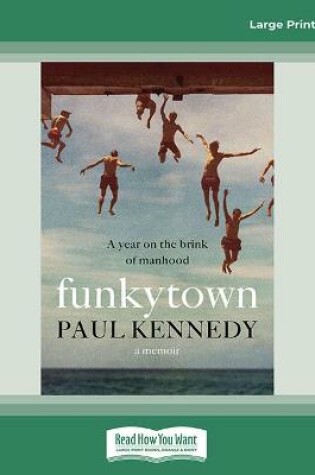 Cover of Funkytown