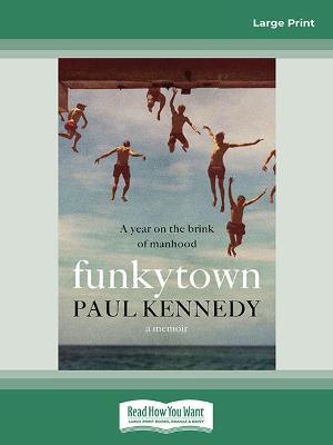 Book cover for Funkytown