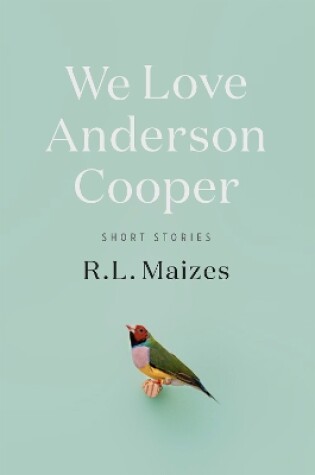 Cover of We Love Anderson Cooper