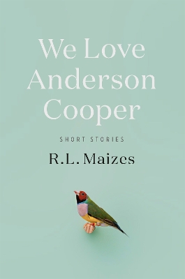 Book cover for We Love Anderson Cooper