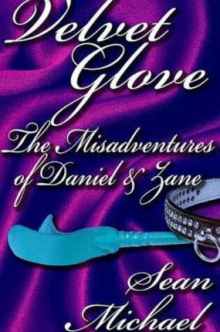Cover of The Misadventures of Daniel and Zane