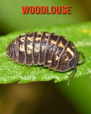 Book cover for Woodlouse