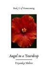 Book cover for Angel in a Teardrop