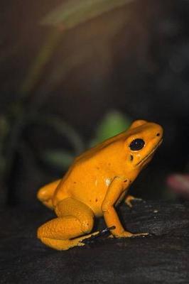 Book cover for Yellow Poison Dart Frog Journal