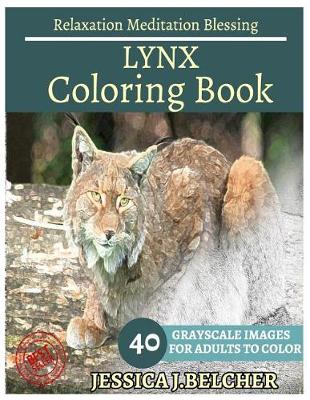 Book cover for Lynx Coloring Books