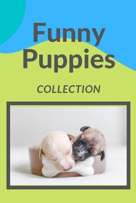 Book cover for Funny Puppies Collection